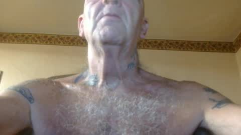 Pizza online show from July 2026 09:35:01 AM