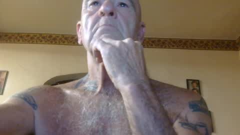 Pizza online show from July 2026 09:45:01 AM