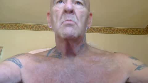 Pizza online show from July 2026 01:29:02 PM