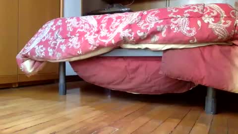 claudi779 online show from December 2024 03:24:02 PM