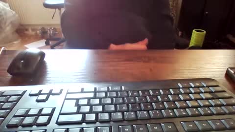 cock4onenight online show from February 2025 12:28:01 PM