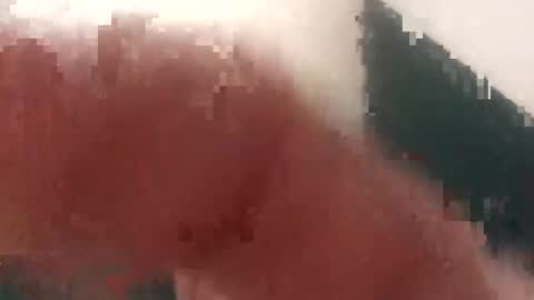 Cockhunter online show from September 2025 12:38:01 PM