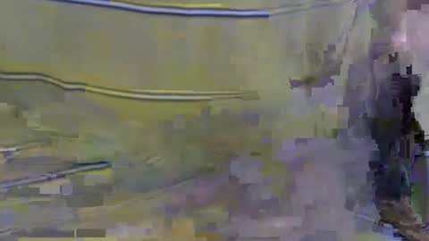 cockreadynow4u online show from October 2025 05:08:02 AM