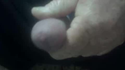 cocktoys online show from February 2026 04:11:01 AM