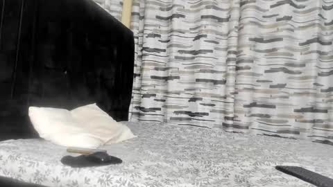 coco_leila online show from January 2025 04:47:01 AM