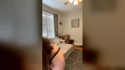 Code By Nova online show from December 2025 07:42:01 PM