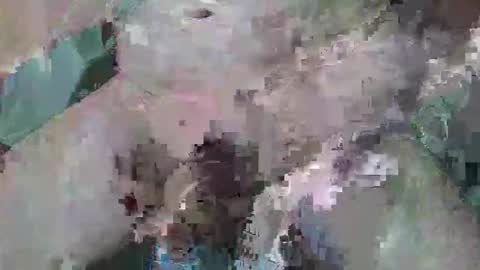Snapshot of cogela_sin_miedo chatting on October 2025 11:46:01 PM cogela_sin_miedo online show from October 2025 11:46:01 PM