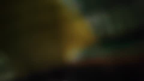 Snapshot of col_ander chatting on July 2026 07:19:02 AM col_ander online show from July 2026 07:19:02 AM