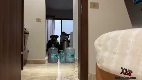 Snapshot of colbyknox chatting on September 2025 11:06:02 PM colbyknox online show from September 2025 11:06:02 PM