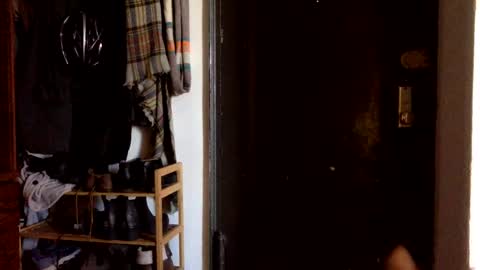 cloudy college boi exhib online show from March 2025 06:45:01 PM