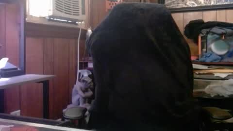 Nelson or ComicKing and sometime Peachy143 online show from March 2026 01:59:01 PM