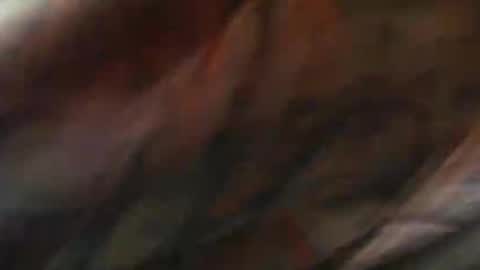 Snapshot of comox1961 chatting on February 2025 09:04:01 AM comox online show from February 2025 09:04:01 AM