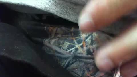 Snapshot of comox1961 chatting on March 2025 08:30:01 AM comox online show from March 2025 08:30:01 AM