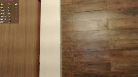 connor_h1 online show from January 2025 03:33:01 AM