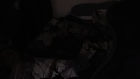 cooley77701 online show from April 2026 12:25:01 PM