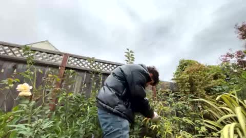 coronelking online show from September 2025 10:26:01 PM