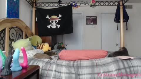 Snapshot of costumemenagerie chatting on January 2025 02:45:02 AM Amethyst Cox online show from January 2025 02:45:02 AM