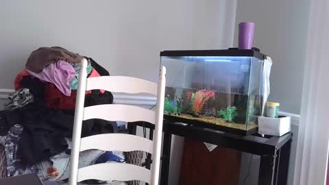 Fallen Angel 21 online show from March 2025 05:56:01 PM