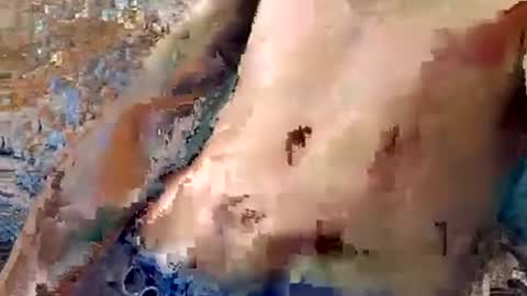 Kylenaughtybi89 online show from July 2026 03:03:01 PM