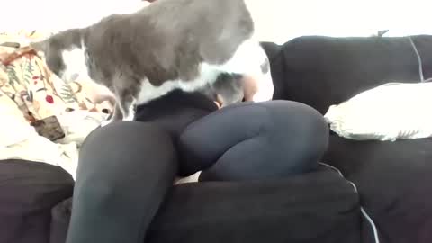 Snapshot of courtxoxo_o chatting on February 2025 09:31:02 PM courtxoxo_o online show from February 2025 09:31:02 PM