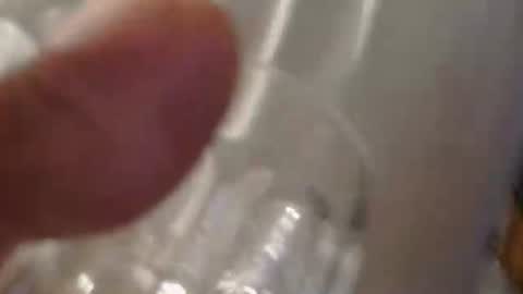 Snapshot of coyote017 chatting on May 2026 05:18:02 PM coyote017 online show from May 2026 05:18:02 PM