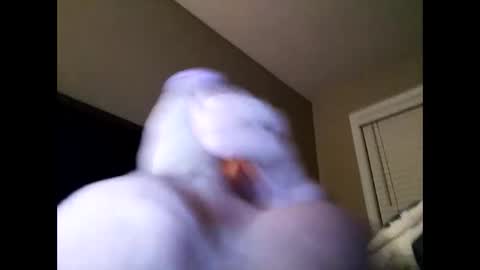 Cranada777 online show from February 2025 01:21:01 PM