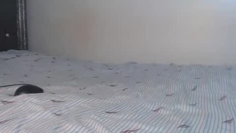 creamybabes0 online show from January 2026 05:33:02 AM