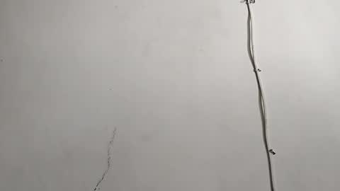 Snapshot of creamycocobabe chatting on April 2026 08:04:02 PM CreamyCocoBabe online show from April 2026 08:04:02 PM