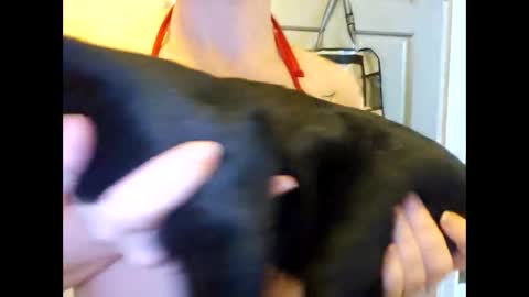 creamymilf11 online show from September 2025 03:17:01 PM