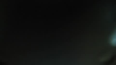      online show from December 2024 12:51:02 PM