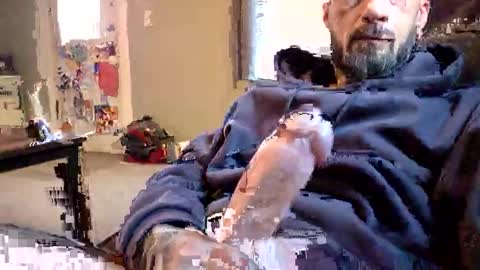 cristo8inch online show from November 2025 03:47:01 PM