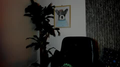 Cristian online show from March 2026 11:38:01 PM