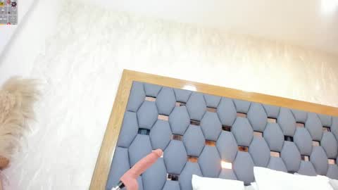 crystal_sm online show from March 2026 03:08:01 AM