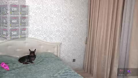 Nika online show from November 2025 02:28:01 PM