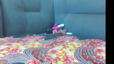 crystallgem online show from March 2026 01:07:02 PM