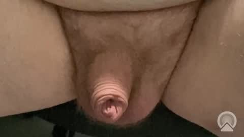 cucksissyslut online show from November 2025 07:56:02 PM