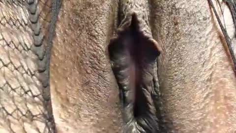 Nambuusi Irene online show from February 2026 09:00:02 PM