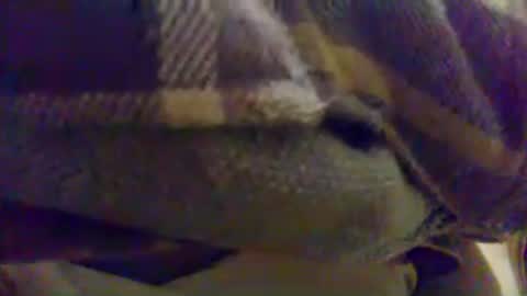 cumtowa online show from June 2026 12:13:01 AM