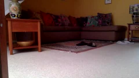 cumonherguys online show from November 2025 08:04:01 AM