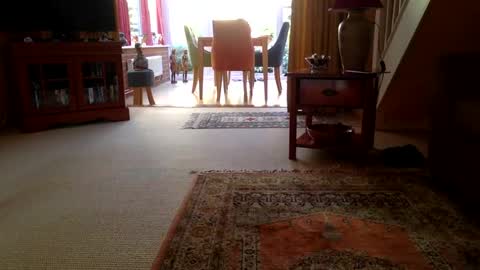 cumonherguys online show from June 2026 07:25:01 AM