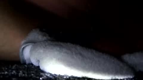 Snapshot of cumsinmealot chatting on January 2025 11:10:01 AM Aprilia online show from January 2025 11:10:01 AM