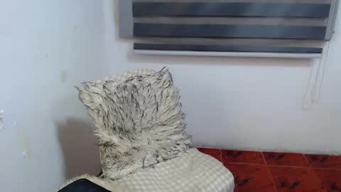 Xyrien online show from January 2026 02:13:01 AM