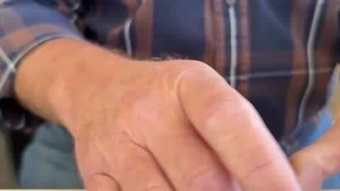 curio online show from April 2026 08:29:01 PM