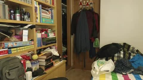 curiosillo1983 online show from April 2026 10:45:01 PM