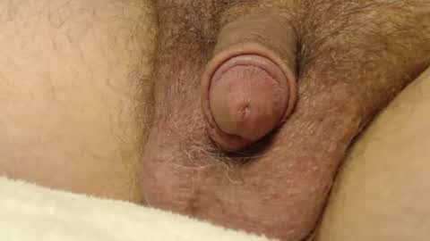 curve66 online show from October 2025 01:06:02 AM