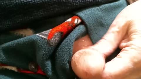 BI SMOOTH MATURE  SUB online show from January 2025 02:10:02 PM