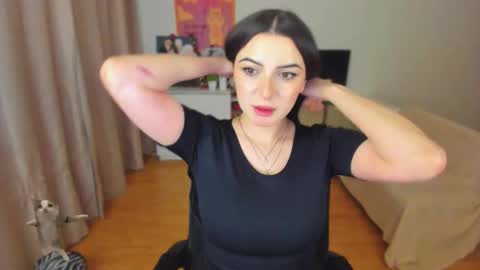 Bb online show from February 2026 12:50:01 AM