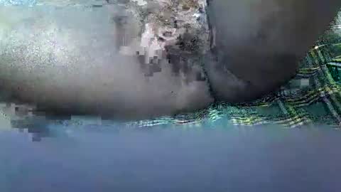 daddy online show from November 2025 01:39:01 PM