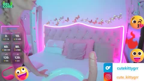 Kitty online show from February 2026 11:55:01 PM