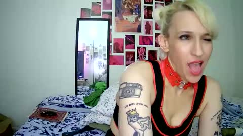 Bella online show from March 2026 12:38:02 AM